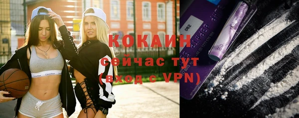 твердый Богородск