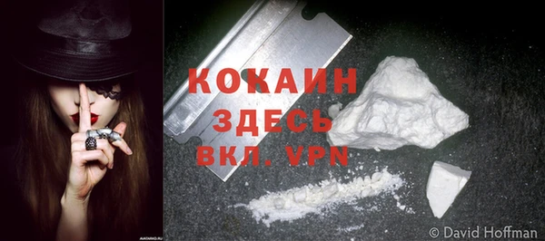 кокс Богданович