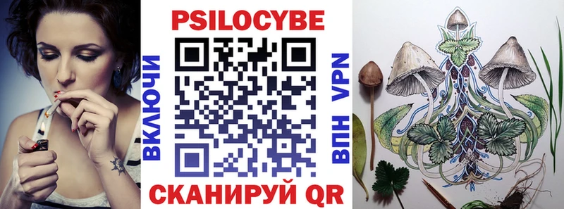 закладка  Торжок  Псилоцибиновые грибы MAGIC MUSHROOMS 